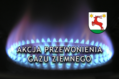 Przewonienia gazu ziemnego